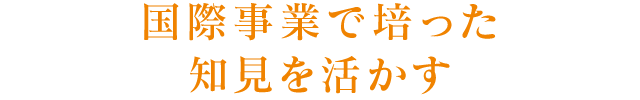 国際事業で培った知見を活かす