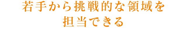 若手から挑戦的な領域を担当できる