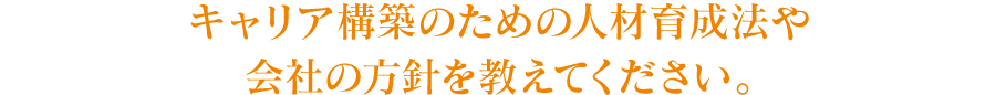 キャリア構築のための人材育成法や会社の方針を教えてください。