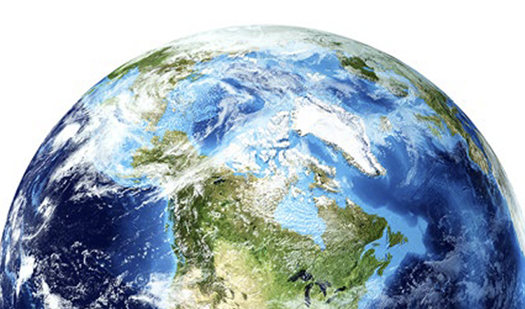 MBフォーミュラでの国内販売